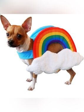 Size LARGE Rainbow with Soft Fluffy Clouds Dog Costume